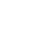 magneti-marelli-biale