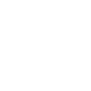 mahle-biale
