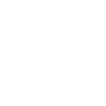 lentex-biale