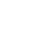 wielton-biale