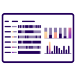 filling-forms