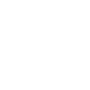 wms-icons-lp-process