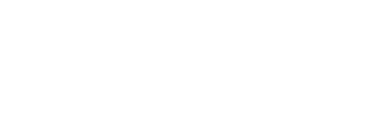 gartner peer insights logo white2